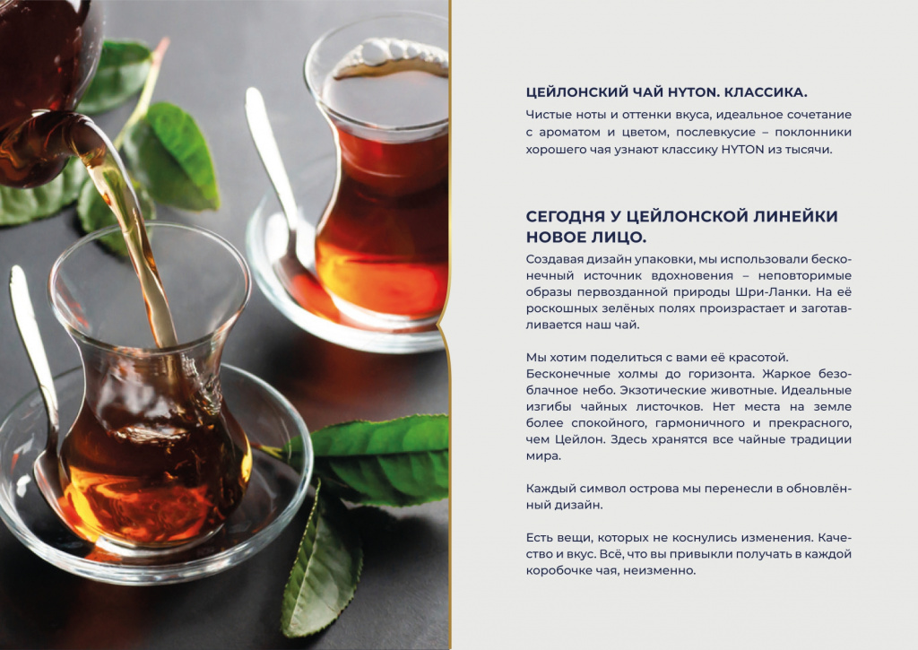 Хайтон презентация НОВЫЙ ДИЗАЙН-1-15_page-0002.jpg