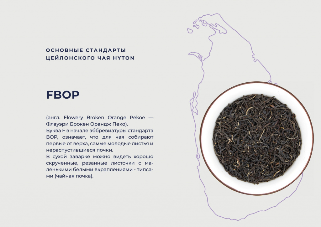 Хайтон презентация НОВЫЙ ДИЗАЙН-1-15_page-0006.jpg