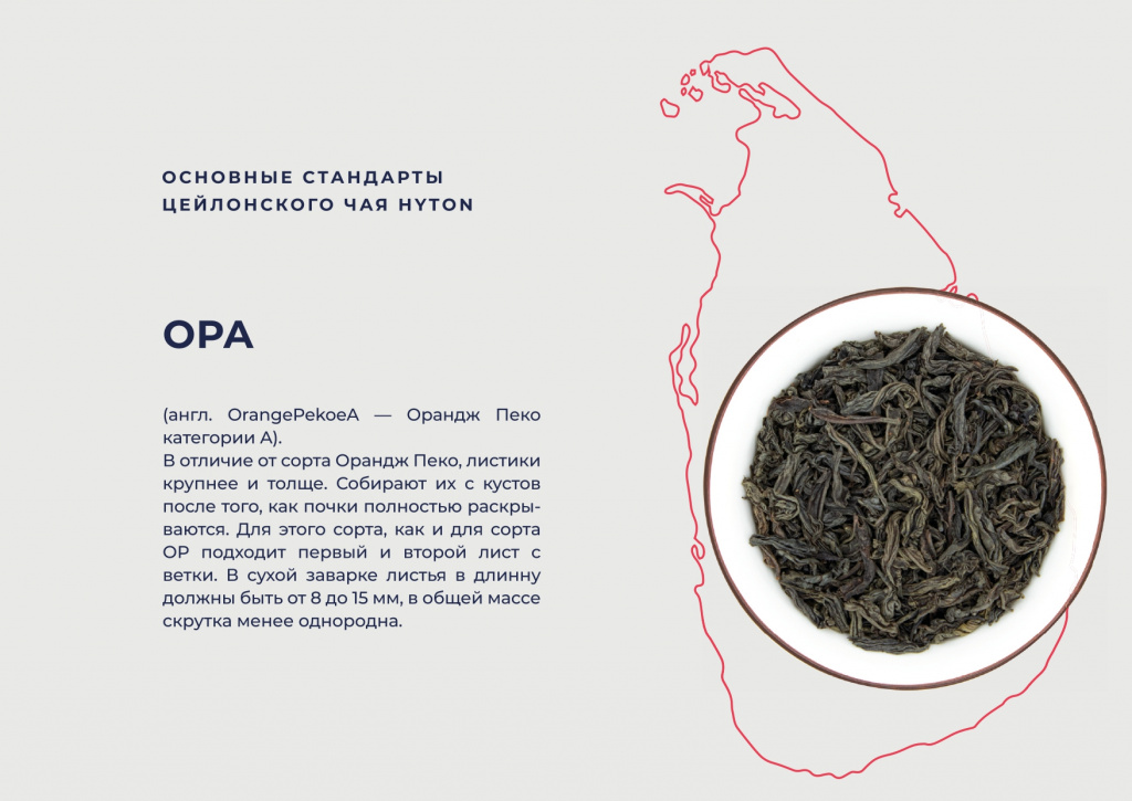 Хайтон презентация НОВЫЙ ДИЗАЙН-1-15_page-0012.jpg