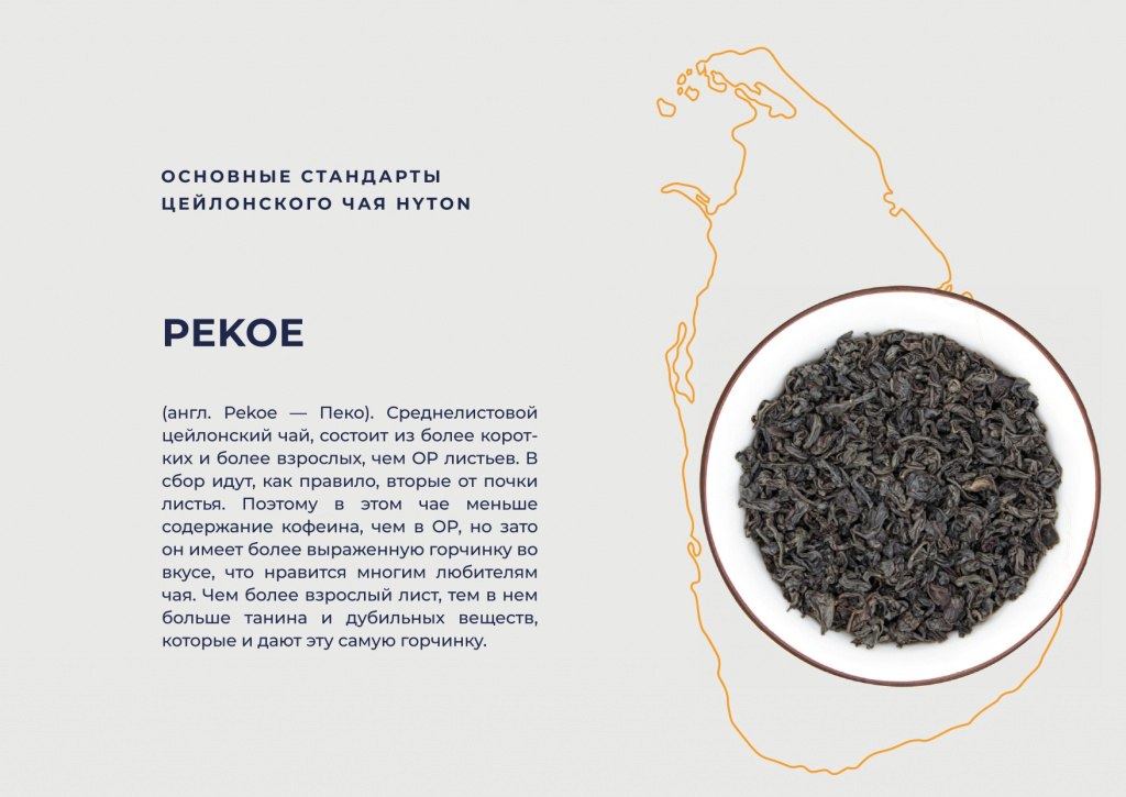 Хайтон презентация НОВЫЙ ДИЗАЙН-1-15_page-0008.jpg