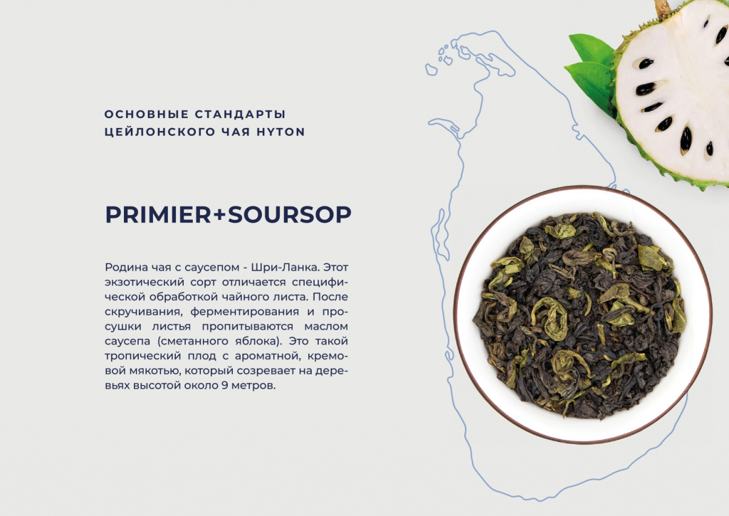 Хайтон презентация НОВЫЙ ДИЗАЙН-1-15_page-0010.jpg